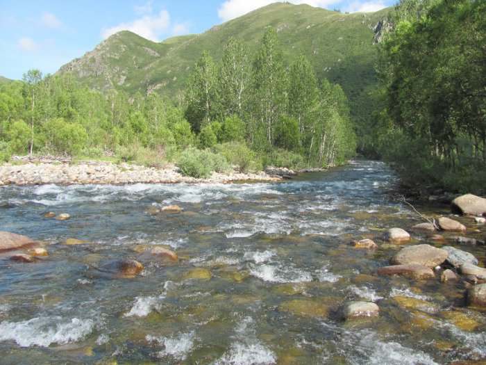 Красота природы в её жизни