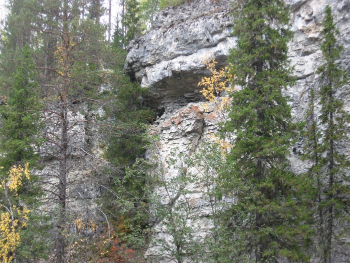 тиманский кряж