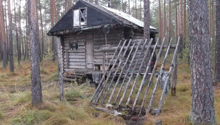 север Чулымского района. Изба около озера Ливинское.