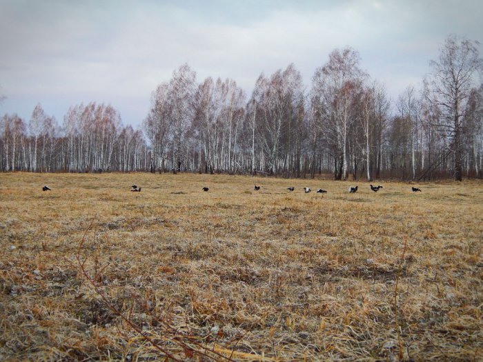 В этом году только фотоохота