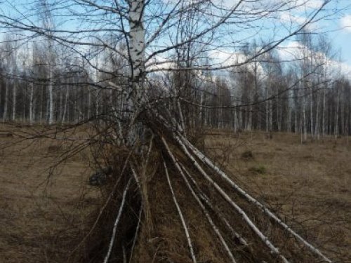 Скрадок