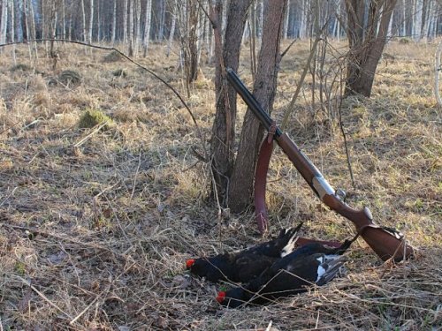 Зарисовка с открытия