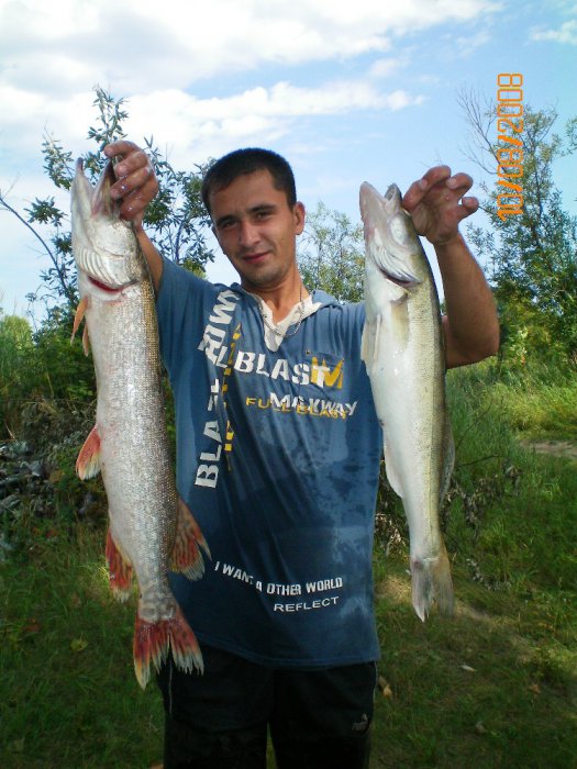 За колыванью