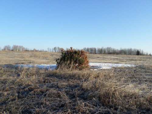 пусть привыкают