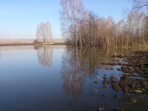 Разливчик