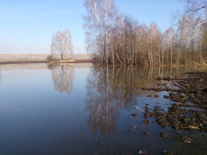 Разливчик