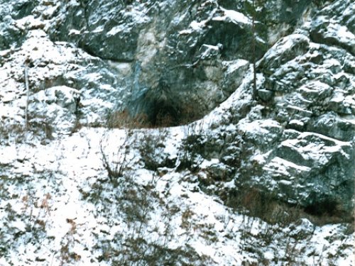Берлога