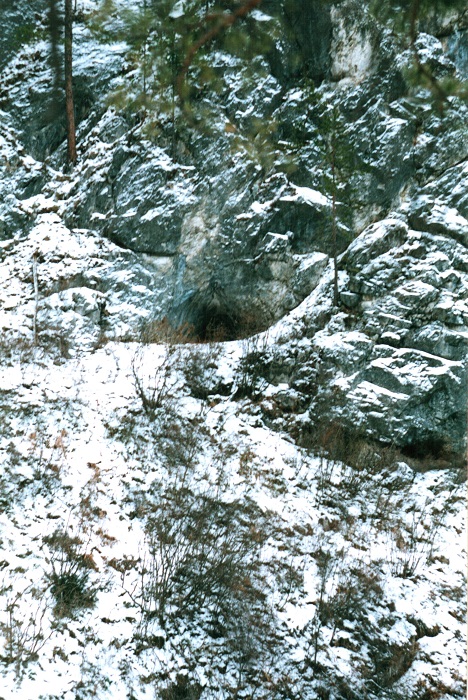 Берлога