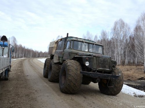 Шестилапый одноглаз.