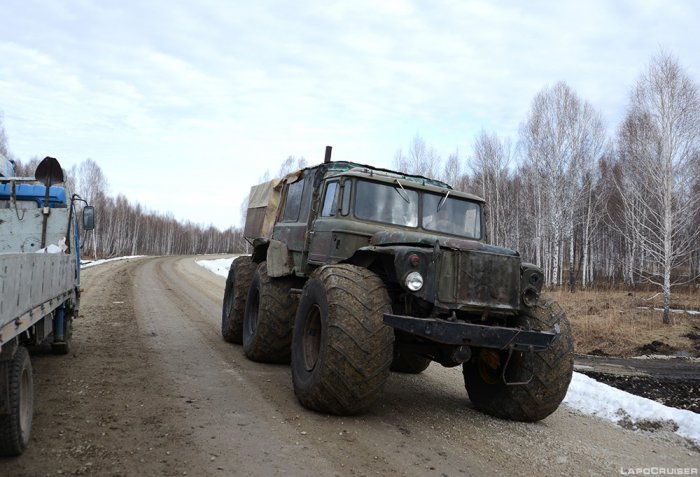 Шестилапый одноглаз.