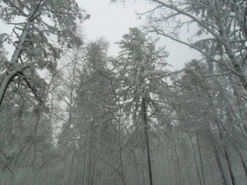 май 2012!снег....