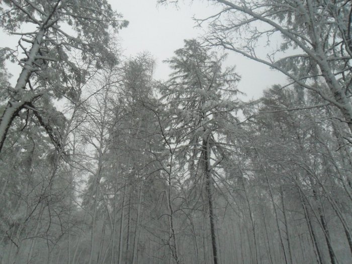май 2012!снег....