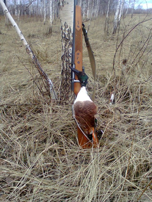 Весна 2013