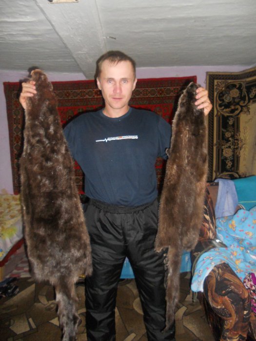 Это сыну с тестем на шапку.