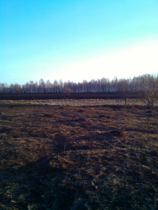 после пала 3