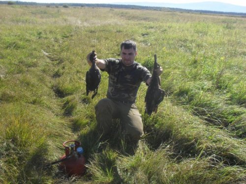 Напоминание об осени 2013 года