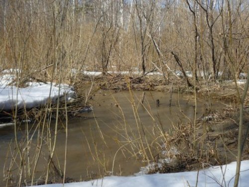 Пошла водица....