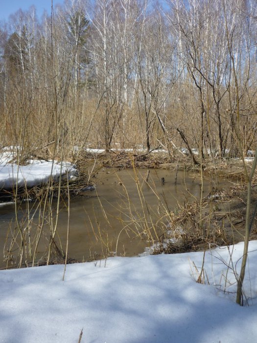 Пошла водица....