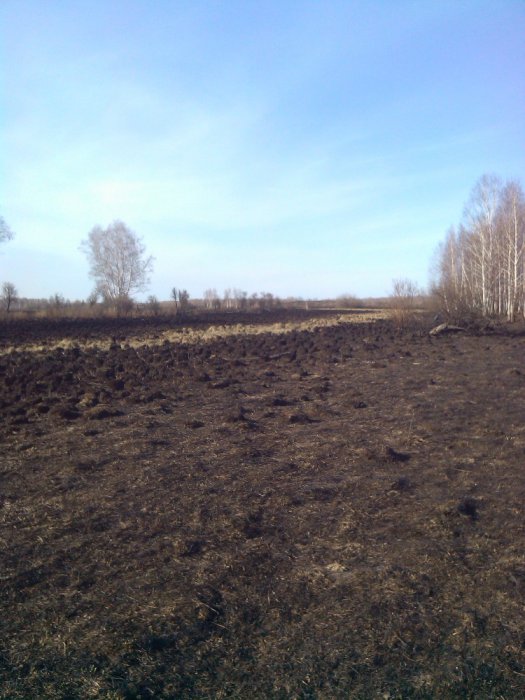 после пала