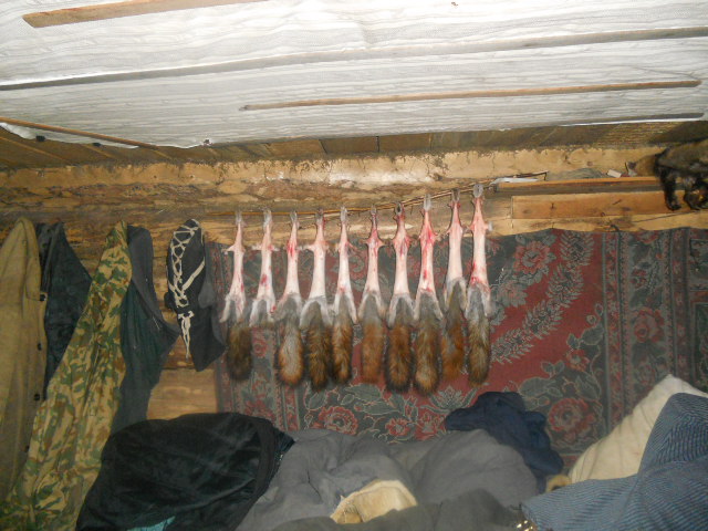 герлянда