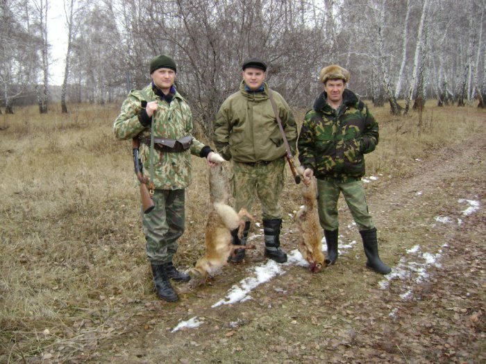 Рыжухи