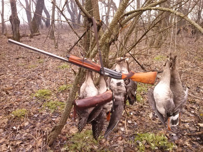 натюрморт