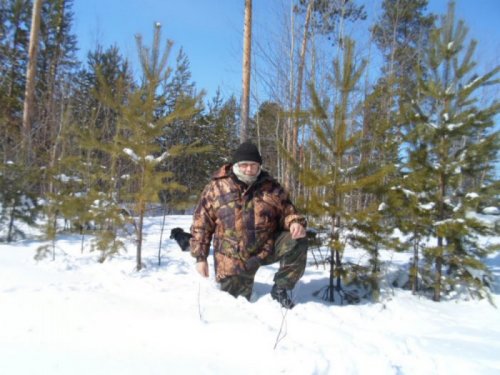 В лесу.
