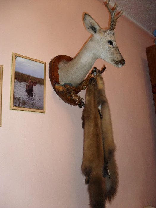 Дома ,также кое что душу греет...!