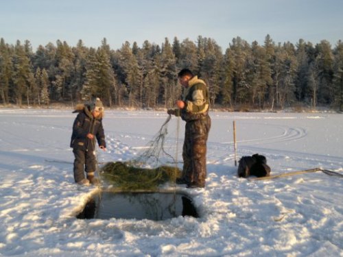 помшник