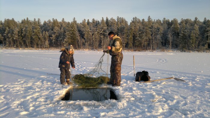 помшник