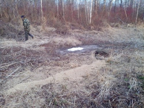 Обновляем подкормочные площадки.