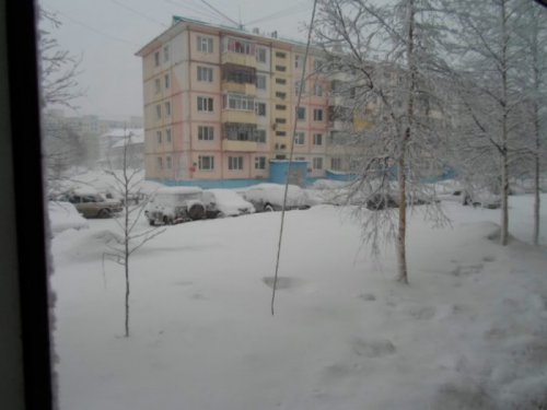 Утром снег.21 04 2014г.