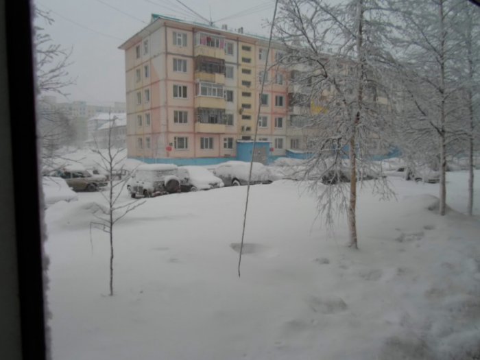 Утром снег.21 04 2014г.