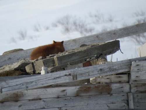 На солнышке