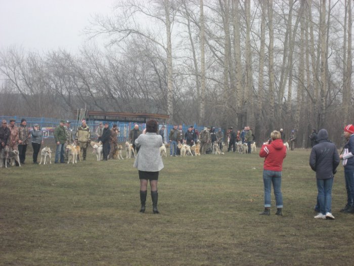 Новокузнецк 05.04.14