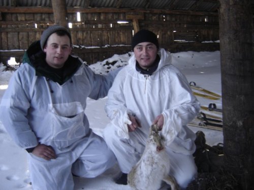 трофей с фермы