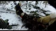 Охота на кабана с собаками ( зарезал ножом ) GoPro hero 3+ silver chest