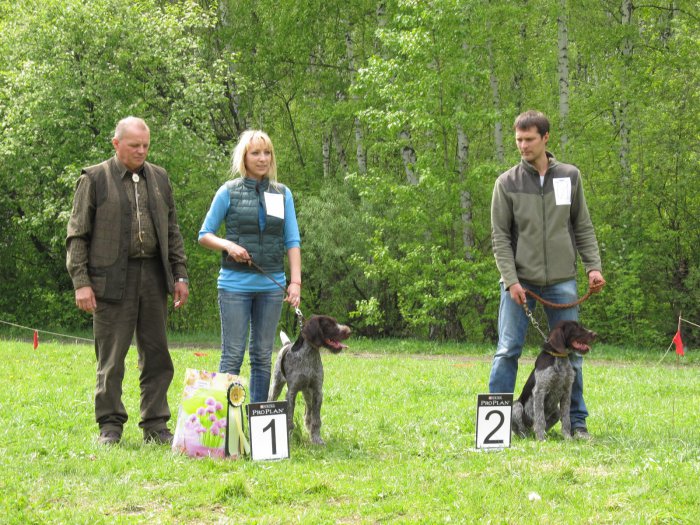 С выставки 24.05.2014