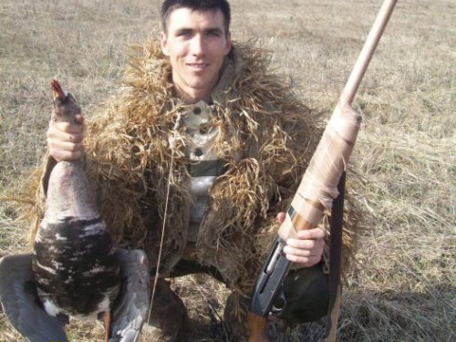 Гуси 2014г