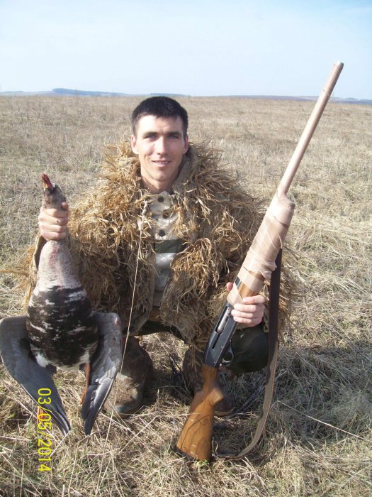 Гуси 2014г