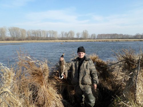 воды было много