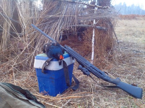 Мошковский район