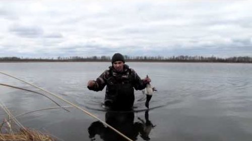 охота на водоплавающию дичь