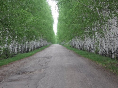 Красота!