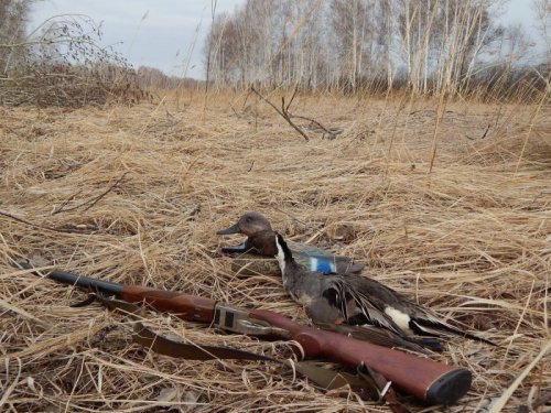 Можно было больше..,
