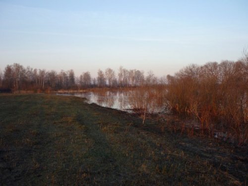 Разлив, и красота утра....