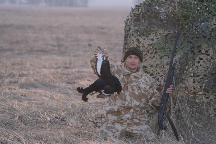 На току 2014!