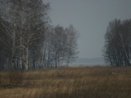 У перехода.