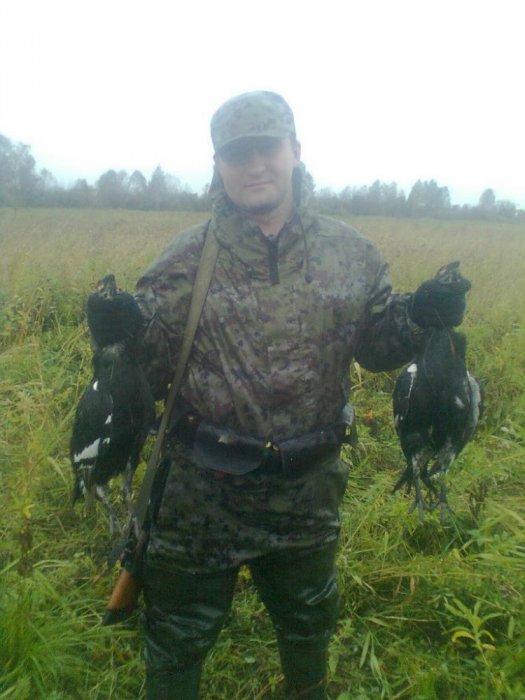Тетерев. Осень 2013г.