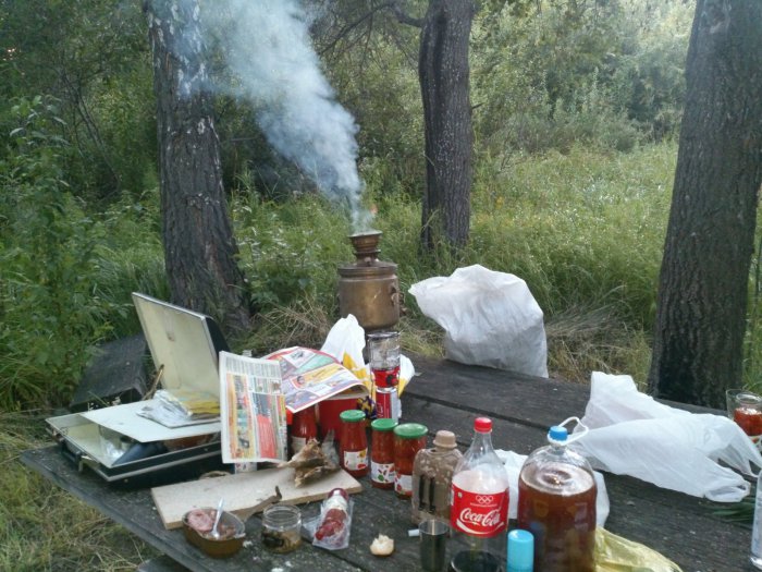 чаек поспел